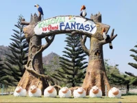 Khao Yai Fantasy Resort 
