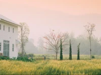 Romance - Another Story in Pai 