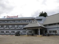 Diamond de pai 3*