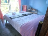 Oasis Pai 2*