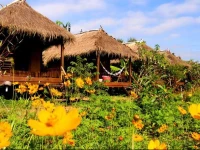 Villa De Pai 