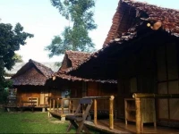 Pai Cat Hut 