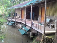 Pai Piranha Fishing Park 