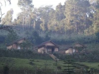 Mong Homestay Resort 