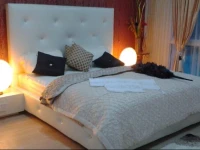 High Style Condominium 