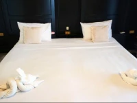 Maximum Guest house 