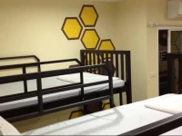 Beehive Patong Hostel 