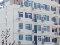 Darisa Apartment 