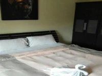 Ferb Guest House 