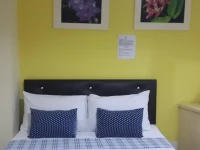 The Moonlight Place 