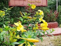 Bangnuriver Home Stay 