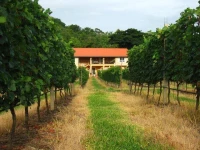 GranMonte Guest House 