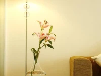 The Light Residences 