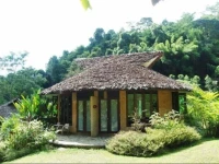 The Natural Healing Spa Retreat 