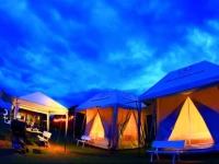 The Camping Field Suan Phung 