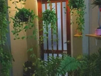 Baan Homlamoon 