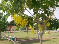 Rai Phuruk Resort 