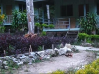 Chill Out Bar & Bungalow 