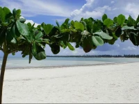 Pongwe Bay Resort 