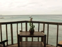Spiderhouse Resort 