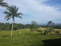 Villa del Carmen Bed and Breakfast 