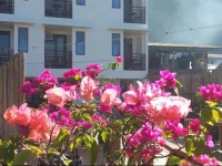 Dayunan Tourist Inn 