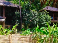 Blue Mango Resort 
