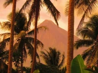 Balay de la Rama Bed & Breakfast 