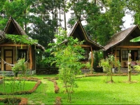 Fox & The Firefly Cottages 