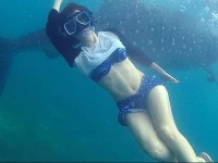 Nemo Guest House 