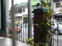 1 River Central Hostel 