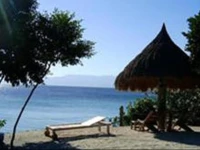 Sea Turtle House Moalboal 