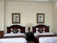 Cindy Kelly Hotel 