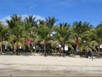 Phaidon Beach Resort 