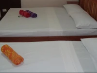 El Gallo Travelers Pension 