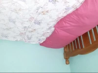 Rothels Homestay 
