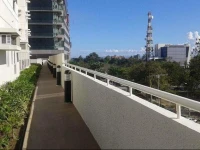 Cebu Classy Condo IT Park 