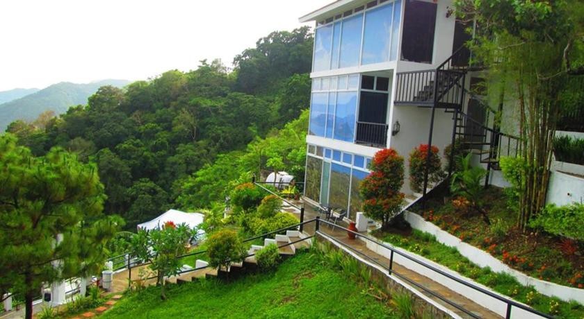 Casa Alegria Bed and Breakfast 
