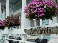 Aurantola 