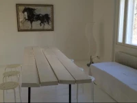 Villa Moose 