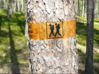 Lemmenjoen Lumo - Nature Experience & Accommodation 