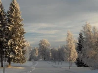 Kainuun Opisto 