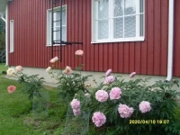 Aaria Bed and Breakfast 4*