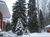 Lapland Holiday House 