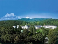 Maritim Badehotel Bad Wildungen 4*
