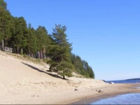Tulikettu Hotel 