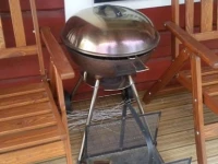 Villa Mushroom 