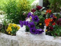 Guesthouse Villa AnnaDora 3*