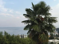 Enzo Guest House 