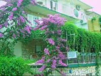 Villa Volga 
